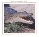 Crocodiles  Cover Image
